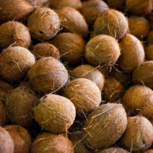 Small Size Coconut