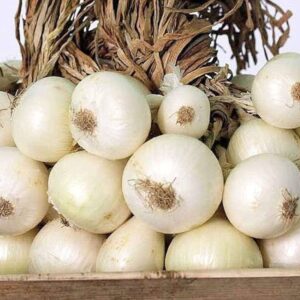 White Onion